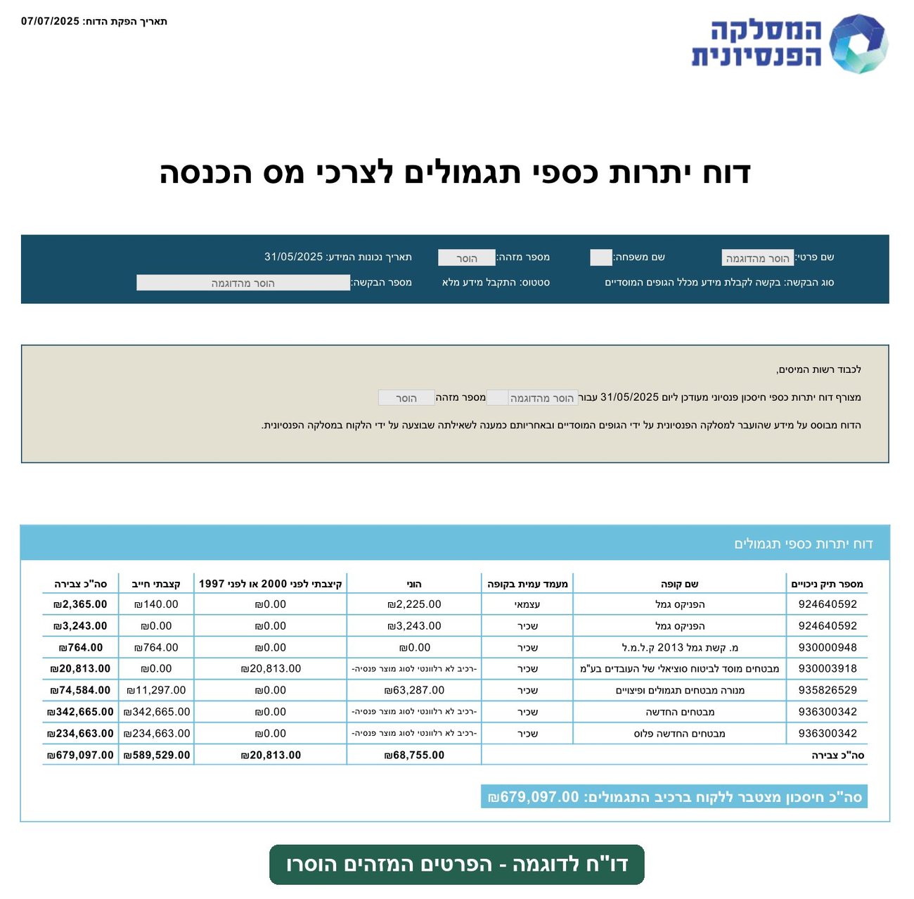דו"ח יתרות כספי תגמולים - דוגמה